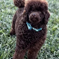 processed/1bdadb7e-de4e-4c1a-abee-25f2527a1729/facility/ad4ccdb2-759c-4785-b3b4-9c7e12b308c3