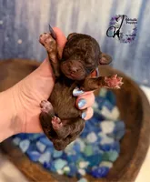 processed/1bdadb7e-de4e-4c1a-abee-25f2527a1729/listing/07635e06-0605-49ae-9ed3-9f87ddb93781/21f3eb66-2c96-4901-93c4-f9cc75442937