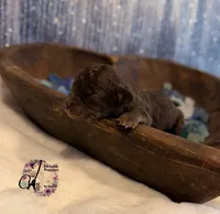 processed/1bdadb7e-de4e-4c1a-abee-25f2527a1729/listing/07635e06-0605-49ae-9ed3-9f87ddb93781/77fe246e-9b77-4652-8f1e-220f8dad7edb