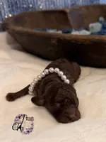 processed/1bdadb7e-de4e-4c1a-abee-25f2527a1729/listing/07635e06-0605-49ae-9ed3-9f87ddb93781/89678cde-a533-4ce5-ba55-1145b072839a