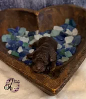 processed/1bdadb7e-de4e-4c1a-abee-25f2527a1729/listing/07635e06-0605-49ae-9ed3-9f87ddb93781/bc89bce8-f66a-4dc6-ba45-c8538badac7d