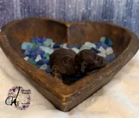 processed/1bdadb7e-de4e-4c1a-abee-25f2527a1729/listing/07635e06-0605-49ae-9ed3-9f87ddb93781/c5b2da78-809d-47ca-b973-cc0306db3d6f