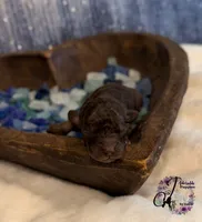 processed/1bdadb7e-de4e-4c1a-abee-25f2527a1729/listing/07635e06-0605-49ae-9ed3-9f87ddb93781/c716b0ad-dd2f-4a77-b027-b8baf9997e06