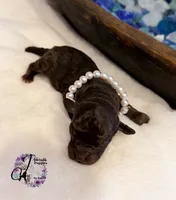 processed/1bdadb7e-de4e-4c1a-abee-25f2527a1729/listing/07635e06-0605-49ae-9ed3-9f87ddb93781/df778801-d7b9-407b-a451-a5ea80de2b5f