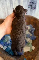 processed/1bdadb7e-de4e-4c1a-abee-25f2527a1729/listing/4faaed1f-51e2-4b84-94af-23cd9205a1d8/20ec44e5-35a3-45ff-9df7-b0b9b8692382