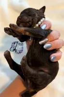 processed/1bdadb7e-de4e-4c1a-abee-25f2527a1729/listing/4faaed1f-51e2-4b84-94af-23cd9205a1d8/3c92b270-c10a-46ae-96cb-8de065b8bd58