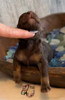 processed/1bdadb7e-de4e-4c1a-abee-25f2527a1729/listing/4faaed1f-51e2-4b84-94af-23cd9205a1d8/523bd99d-bda3-4178-ad9a-5b445b017650