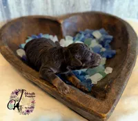 processed/1bdadb7e-de4e-4c1a-abee-25f2527a1729/listing/4faaed1f-51e2-4b84-94af-23cd9205a1d8/6b1a552c-d0fd-46be-8105-2a9a5f0b0adc