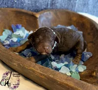 processed/1bdadb7e-de4e-4c1a-abee-25f2527a1729/listing/4faaed1f-51e2-4b84-94af-23cd9205a1d8/984992c9-5808-488a-858b-deb39f7bb885