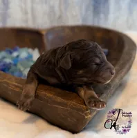 processed/1bdadb7e-de4e-4c1a-abee-25f2527a1729/listing/4faaed1f-51e2-4b84-94af-23cd9205a1d8/c9194cd3-0bb2-4f03-9ca2-fb11fffa3e84