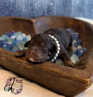 processed/1bdadb7e-de4e-4c1a-abee-25f2527a1729/listing/4faaed1f-51e2-4b84-94af-23cd9205a1d8/e2f05e4f-e8ec-4fc5-bcaa-a22ff723503f