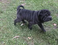 processed/1be7365b-0df5-43d4-9354-244c35f0a173/listing/3f36fd46-0278-4839-982c-a3aedaaa5f17/d0408708-7f97-4a7e-aebb-c0678f1327eb