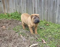 processed/1be7365b-0df5-43d4-9354-244c35f0a173/listing/927cf704-9186-4a13-ae82-be12ab56c620/a85a5b98-07ab-4cb9-9579-49c33c666b7e