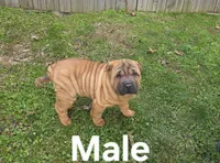 processed/1be7365b-0df5-43d4-9354-244c35f0a173/listing/e30bba15-902d-466b-a683-f425a09dfd57/3f11466e-6f57-47a8-9e4a-5ef68237276b