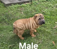 processed/1be7365b-0df5-43d4-9354-244c35f0a173/listing/e30bba15-902d-466b-a683-f425a09dfd57/ae985dbf-2b9c-4fef-8340-86f7cfd374e8