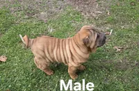 processed/1be7365b-0df5-43d4-9354-244c35f0a173/listing/e30bba15-902d-466b-a683-f425a09dfd57/f408f40b-7094-4e92-bb08-94587fc228b6