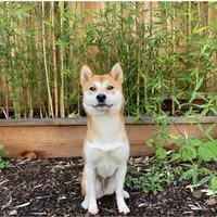 processed/1bea07ea-ed21-4987-a673-8b4462e36da6/facility/178abc9d-62a8-4a30-b120-ad09b18f998a