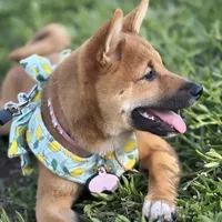 processed/1bea07ea-ed21-4987-a673-8b4462e36da6/facility/6001490f-75b4-4565-b227-507128b472d3