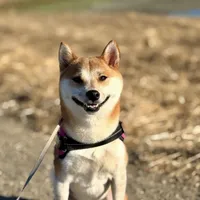 processed/1bea07ea-ed21-4987-a673-8b4462e36da6/facility/c85d7c1f-b5ff-4a96-9687-ad3adc25a25e