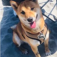 processed/1bea07ea-ed21-4987-a673-8b4462e36da6/facility/e6bee884-8301-4916-a8e4-6e7af2822c66