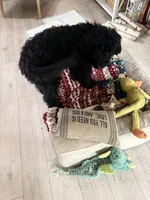 Bruno, a male Aussiedoodle for sale in Sacramento, CA – Photo 4 of 5