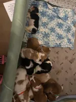 processed/1bfdc228-8f0b-4c51-961d-e286cea0d012/facility/10cf9d23-65d2-4fb9-b77a-6cd34b0cc4ec