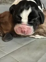 processed/1bfdc228-8f0b-4c51-961d-e286cea0d012/facility/559ad37c-47d0-48b2-bfdf-e1f8131a4db2