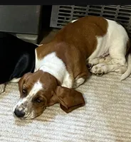 processed/1bfdc228-8f0b-4c51-961d-e286cea0d012/facility/703cd46f-0925-45bf-ac43-8e116ae94dc8