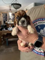 processed/1bfdc228-8f0b-4c51-961d-e286cea0d012/facility/7f5fbed0-d826-44b3-b8c1-a627769943a5