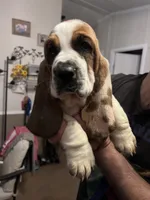 processed/1bfdc228-8f0b-4c51-961d-e286cea0d012/facility/902009f9-8e6d-4e72-aa51-7c214b064121