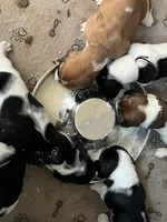 processed/1bfdc228-8f0b-4c51-961d-e286cea0d012/facility/a3aa1d1f-d745-4c14-b852-679de45b9f78