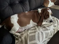 processed/1bfdc228-8f0b-4c51-961d-e286cea0d012/facility/c81fc815-6fa9-4622-b3d8-83174a309bf5