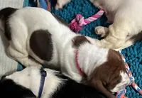 processed/1bfdc228-8f0b-4c51-961d-e286cea0d012/facility/d2514400-737c-47a3-9da6-2dfedb90a141