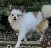 processed/1c0b1701-9497-4297-937d-25f8a56be710/listing/67bbb3c5-1f7d-4ab3-8817-815e741f0851/7ffc8f1f-5f5d-476c-9418-126168f671b6