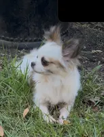 processed/1c0b1701-9497-4297-937d-25f8a56be710/listing/67bbb3c5-1f7d-4ab3-8817-815e741f0851/8348e17e-f186-4281-9c70-57e4c5075d88