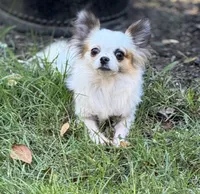 processed/1c0b1701-9497-4297-937d-25f8a56be710/listing/67bbb3c5-1f7d-4ab3-8817-815e741f0851/9465c3c2-8265-42f3-81a6-c582a38b707d