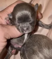 processed/1c0b1701-9497-4297-937d-25f8a56be710/listing/847f96de-5d3e-43e9-a983-748aa88cef53/81c9a5a0-e5a8-436a-869e-ae4d86e49ad1