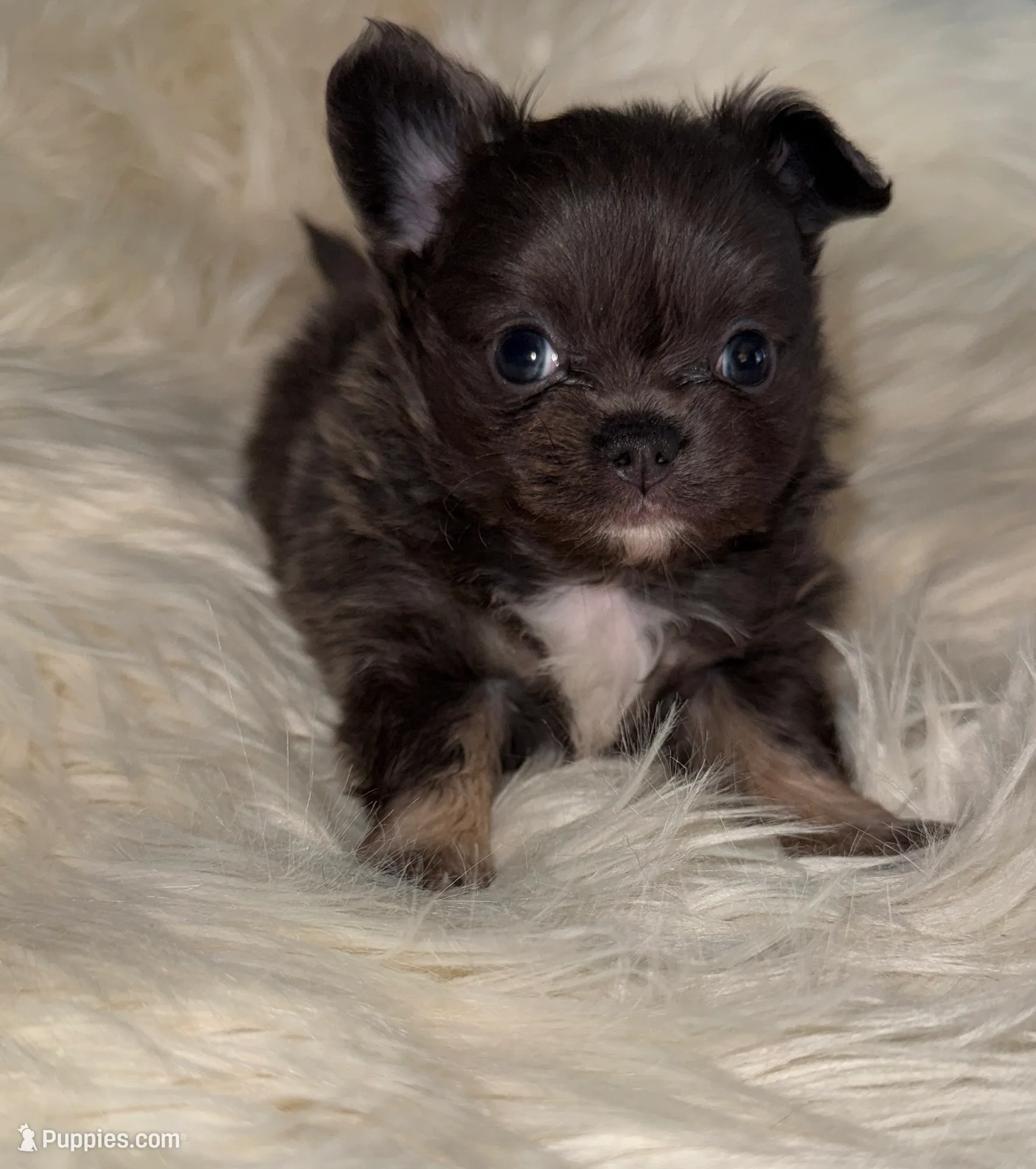 processed/1c0b1701-9497-4297-937d-25f8a56be710/listing/847f96de-5d3e-43e9-a983-748aa88cef53/ea470aa7-054a-4810-a138-2ac90dc47e33