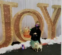 Peter, a male Chihuahua for sale in Plaistow, NH – Photo 5 of 7