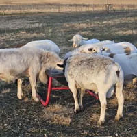 processed/1c2a5467-1b66-4906-8b12-81895844370e/facility/0c99ebb7-cb3c-45d7-8912-208f511b4a49