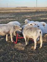 processed/1c2a5467-1b66-4906-8b12-81895844370e/facility/0c99ebb7-cb3c-45d7-8912-208f511b4a49