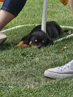 processed/1c2a5467-1b66-4906-8b12-81895844370e/facility/399dd521-1329-4118-b11f-34f794037512