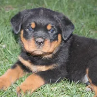 processed/1c2a5467-1b66-4906-8b12-81895844370e/facility/41662f38-8040-47af-9362-33eb09439171