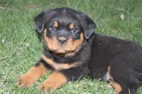 processed/1c2a5467-1b66-4906-8b12-81895844370e/facility/41662f38-8040-47af-9362-33eb09439171