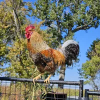 processed/1c2a5467-1b66-4906-8b12-81895844370e/facility/552bffa3-2e89-452b-8324-753e11439349