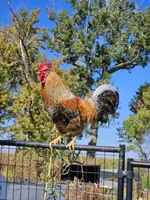 processed/1c2a5467-1b66-4906-8b12-81895844370e/facility/552bffa3-2e89-452b-8324-753e11439349