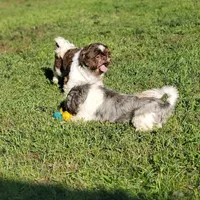 processed/1c2a5467-1b66-4906-8b12-81895844370e/facility/572c970f-6a40-4cae-9cb3-c5cfc98f4db9