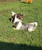 processed/1c2a5467-1b66-4906-8b12-81895844370e/facility/572c970f-6a40-4cae-9cb3-c5cfc98f4db9