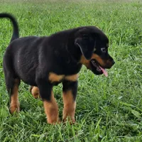 processed/1c2a5467-1b66-4906-8b12-81895844370e/facility/f3759f99-1f8f-4664-97d3-c5d4ab4eb515