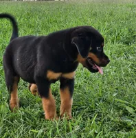 processed/1c2a5467-1b66-4906-8b12-81895844370e/facility/f3759f99-1f8f-4664-97d3-c5d4ab4eb515